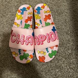champion slides